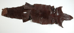 alligator skin, alligator belly, alligator skins, alligator leather, alligator hide, alligator hides