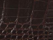 Alligator skin, alligator hide, and alligator leather