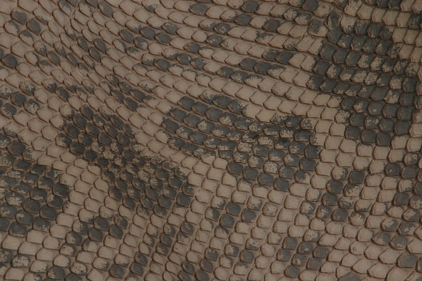Anaconda Pattern
