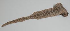 Natural Anaconda