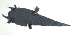 Caiman Belly
