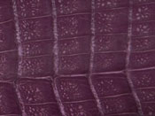 Caiman skin, caiman hide, and caiman leather