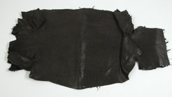 nile lizard skin
