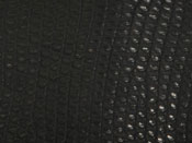 Nile Lizard skin, Nile Lizard hide, and Nile Lizard leather