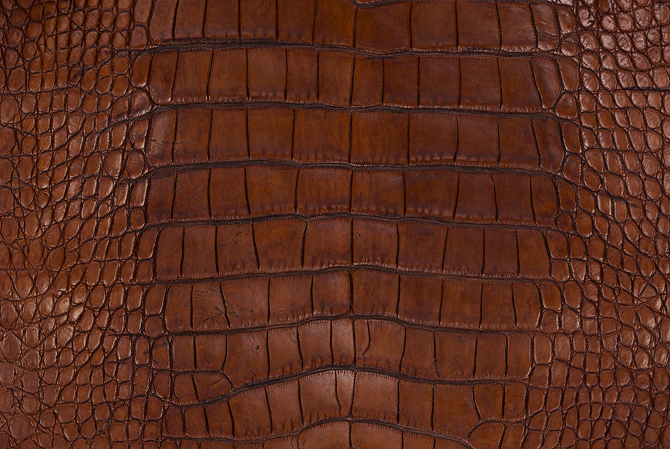 Exotic Leather Blog crocodile skin