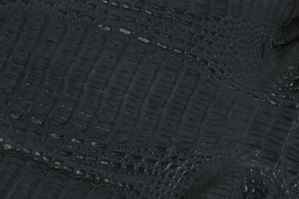 many designers prefer to work with hornback cuts because of the pronounced scale textures.