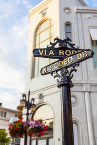 Rodeo Drive has long been a center of the fashion industry. With the latest resolution, it can continue to be a competitive force in the exotic leather industry.