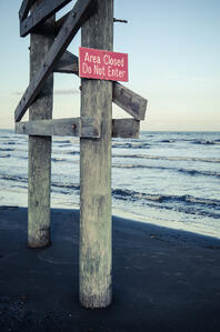 Last year around August, many beaches were forced to put up hazard signs because stingrays had invaded the shallow waters.