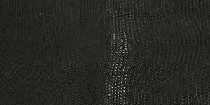 Nile lizard skin features very fine scales.