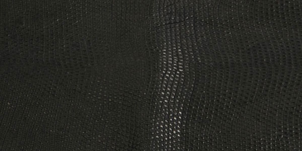 Nile lizard skin features very fine scales.