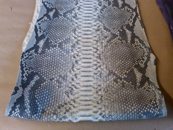 diamond python skin