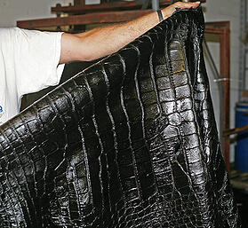 alligator skin leather