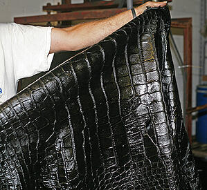 Alligator skin is very soft and supple, perfect for luxury items.
