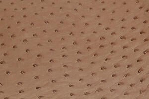 the bumps (quills) in ostrich skin help identify it and set it apart from plain cowhide. the bumps (quills) in ostrich skin help identify it and set it apart from plain cowhide.