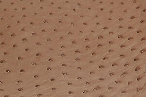 Ostrich skin has many unique quill markings.