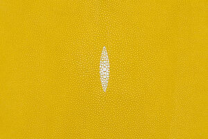 Stingray skin is durable and water resistant, but also kind of hard to work with for some.