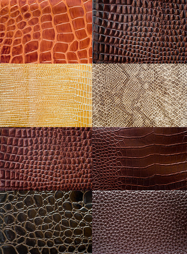 alligator vs crocodile leather