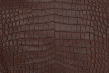 Crocodile skin is a luxurious and beautiful material for any high fashion project.