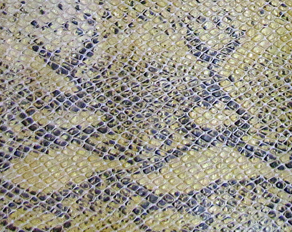 The natural coloration of a python's hide is beautiful, but you don't necessarily have to keep it because these hides can be bleached easily.