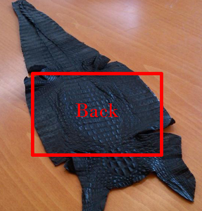 Caiman skin can be bony, so be careful to prepare sewing lines to prevent bent and broken needles.