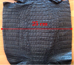 A caiman hide is measured at the widest point of the belly.