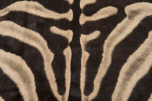 Zebra skin has distinctive stripes, and has been a popular exotic leather for decades to make rugs and many other interior pieces.