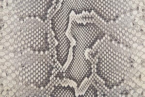 Python skin has rounded, irregular scale patterns