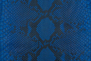 Here is a front-cut diamond python skin. The patterns in this skin tend to be more regular than those of a Burmese python, and these skins taper more severely from center to end.