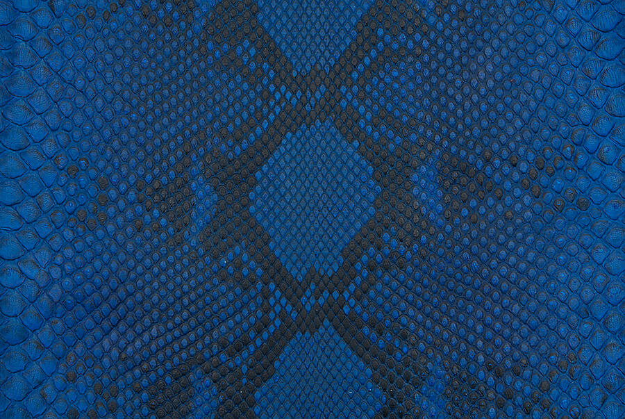 A Brief Overview of Python Skins