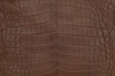 Use Nile crocodile skin on your next project as an alternative to Ameriacan alligator hide or for a tighter texture with better breaks in the skin.