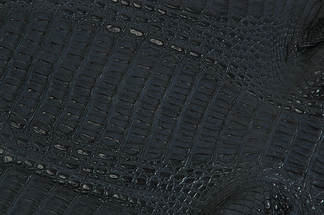 The Caiman's leather has a relatively high bone content.