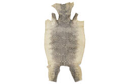 lizard front cut unbleached