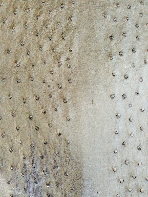 ostrich skin wallabees