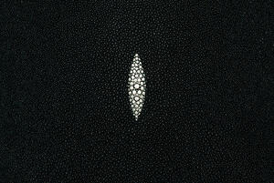 Stingray skin is ideal for an exotic table top.