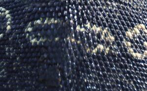 the skin of a ring monitor lizard has a distinct series of colored circles in its back scales.