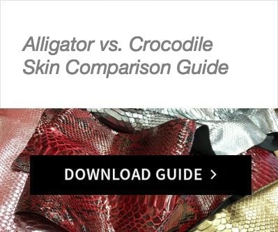 The Difference Between Alligator Skin and Crocodile Skin – Dudes