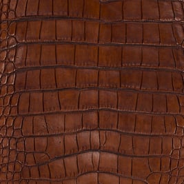 Alligator leather is a beautiful, but delicate, material for exotic leather goods.