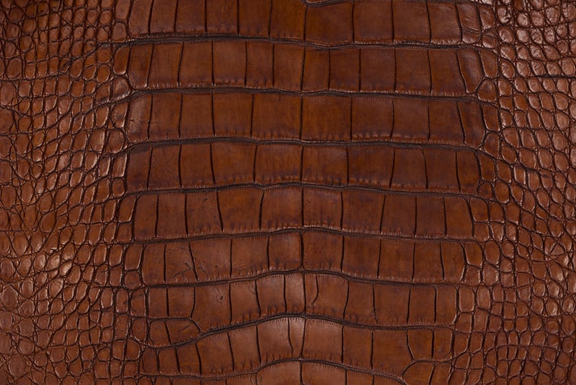 Our 3 Favorite Reptilian Exotic Leathers for Boots