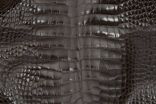 Alligator Skin Belly Glazed Brown