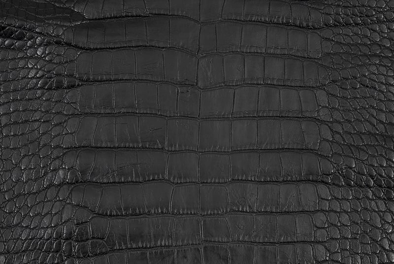 Why Alligator Skin is a Great Exotic Leather for Making Garments