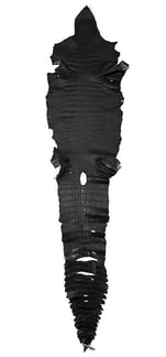 ALLIGATOR GALANO BLACK