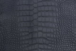 Alligator Skin