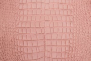 The textured look of alligator skin makes for an easily-identifiable, striking look. The textured look of alligator skin makes for an easily-identifiable, striking look.