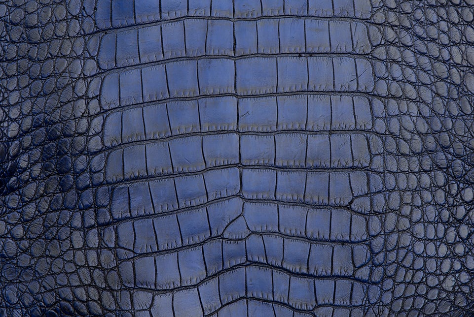Alligator Skin Guide