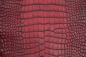 This vintage red alligator skin is one of many custom skins that you can order through Pan American Leathers! This vintage red alligator skin is one of many custom skins that you can order through Pan American Leathers!