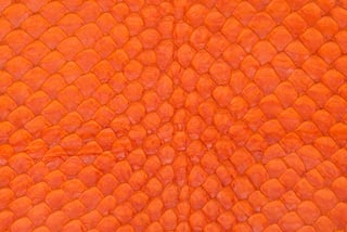 ARAPAIMA-ORANGE-2.jpg