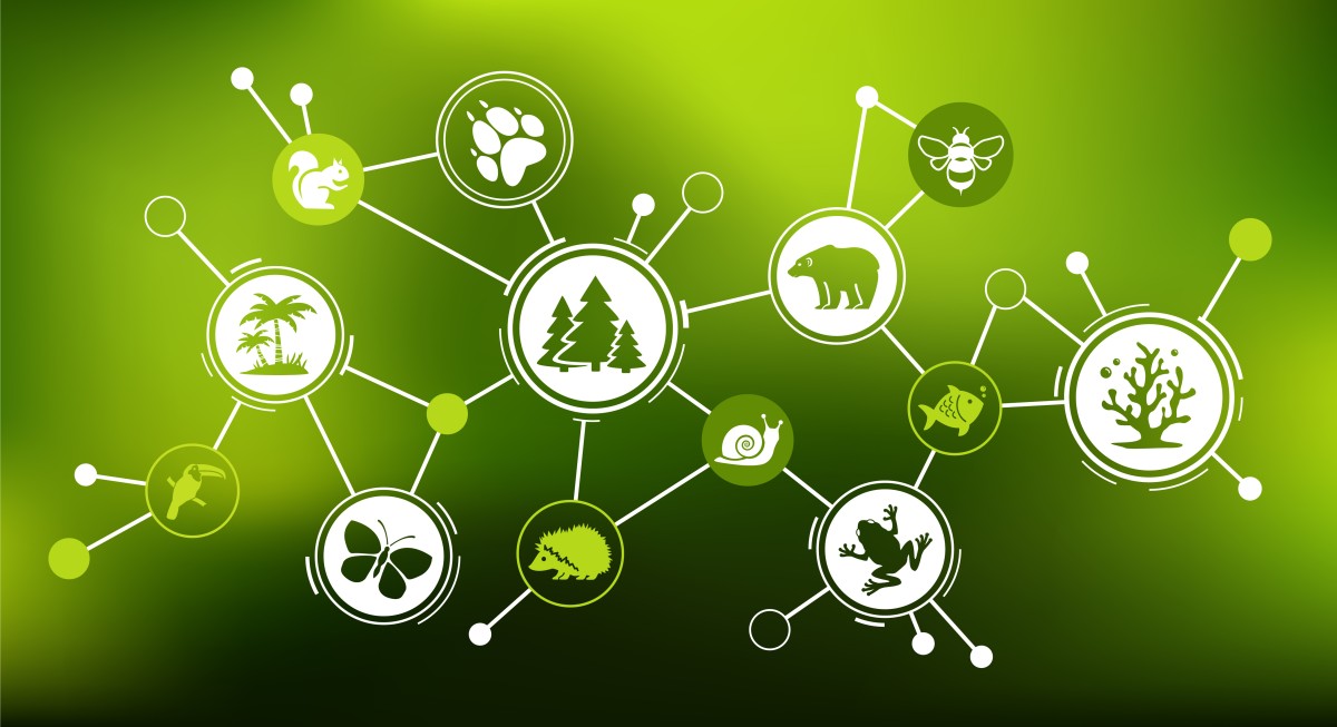 business sustainability 404238224