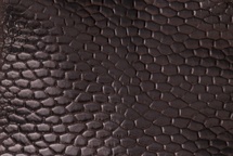 Tanned beaver tails have a surprisingly scaly texture to them.