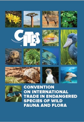 Introduction to the International Trade of Exotic Skins Introduction to the International Trade of Exotic Skins