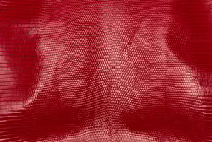 lizard skin with rumples showing the texture